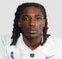 TD Williams headshot